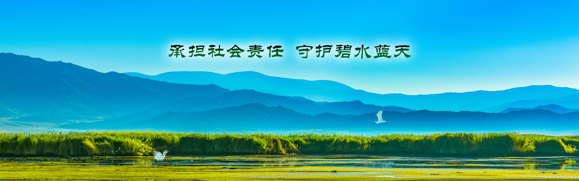 安徽聚隆環(huán)保濾材有限公司